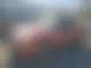 Vehicle Image- 2008 Ford Ranger