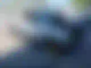 Vehicle Image- 2009 Ford Ranger