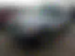 Vehicle Image- 2008 Ford Ranger