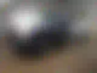 Vehicle Image- 2008 Ford Ranger