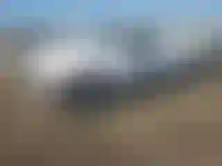 Vehicle Image- 2008 Ford Ranger