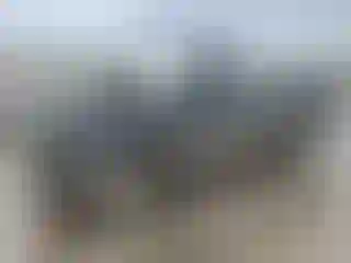 Vehicle Image- 2003 Ford Ranger