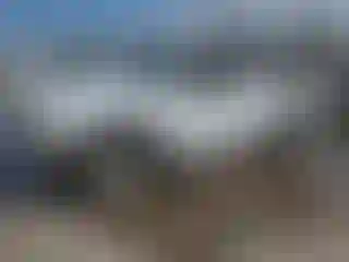 Vehicle Image- 1998 Ford Ranger