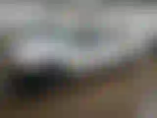 Vehicle Image- 2008 Ford Ranger