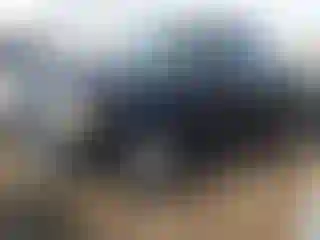 Vehicle Image- 2008 Ford Ranger