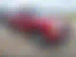 Vehicle Image- 2007 Ford Ranger