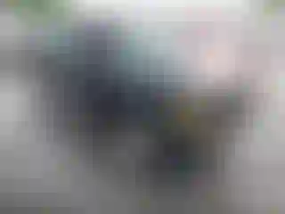 Vehicle Image- 2004 Ford Ranger