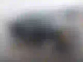 Vehicle Image- 2001 Ford Ranger