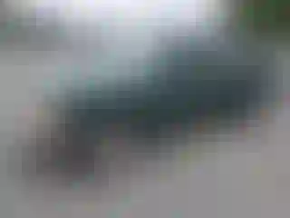 Vehicle Image- 1999 Ford Ranger