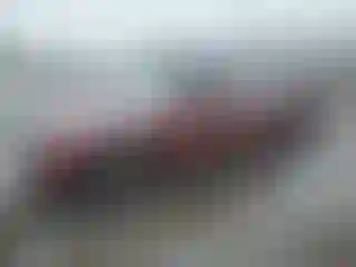 Vehicle Image- 2008 Ford Ranger