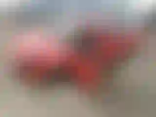 Vehicle Image- 2006 Ford Ranger