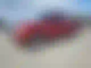 Vehicle Image- 2009 Ford Ranger
