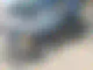 Vehicle Image- 2003 Ford Ranger