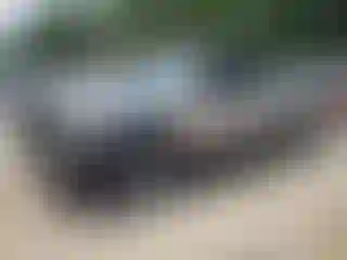 Vehicle Image- 2002 Ford Ranger