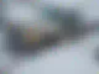 Vehicle Image- 2003 Ford Ranger