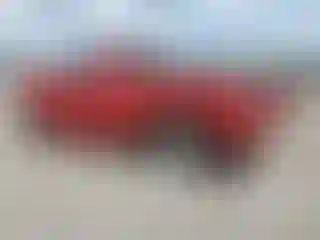 IMPORTOWO.pl