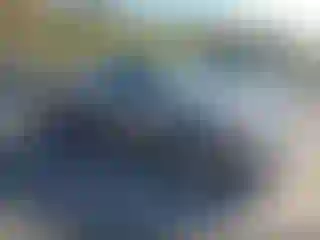 Vehicle Image- 2001 Ford F-150