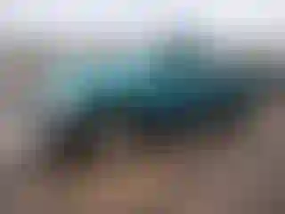 Vehicle Image- 1998 Ford F-150