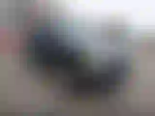 Vehicle Image- 2006 Ford Ranger