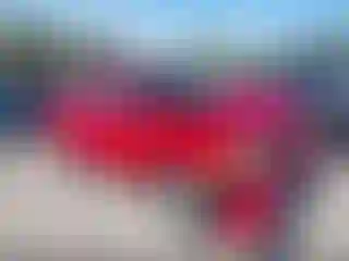 Vehicle Image- 2008 Ford Ranger