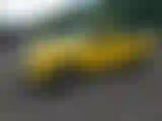 Vehicle Image- 2006 Ford Ranger