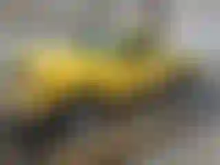 Vehicle Image- 2001 Ford Ranger