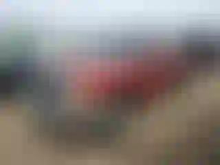 Vehicle Image- 2005 Ford Ranger