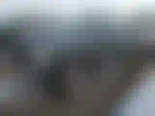 Vehicle Image- 2006 Ford Ranger