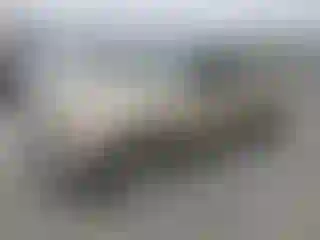 Vehicle Image- 1999 Ford Ranger