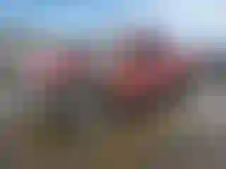 Vehicle Image- 1999 Ford Ranger