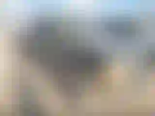 Vehicle Image- 2000 Ford Ranger