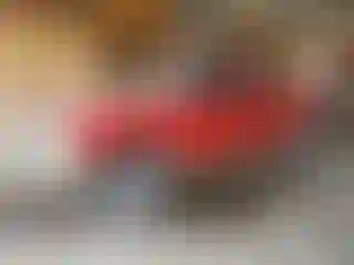 Vehicle Image- 1999 Ford Ranger