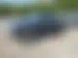 Vehicle Image- 1999 Ford Ranger