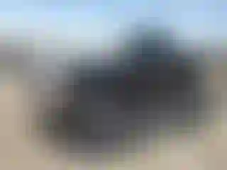 Vehicle Image- 2000 Ford Ranger