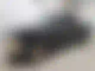 Vehicle Image- 2000 Ford Ranger