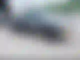 Vehicle Image- 2000 Ford Ranger