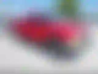 Vehicle Image- 2000 Ford Ranger