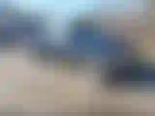 Vehicle Image- 1999 Ford Ranger