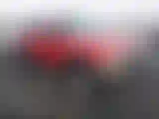 Vehicle Image- 2000 Ford Ranger