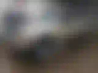 Vehicle Image- 2000 Ford Ranger