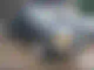 Vehicle Image- 2000 Ford Ranger