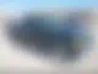 Vehicle Image- 2007 Ford Ranger