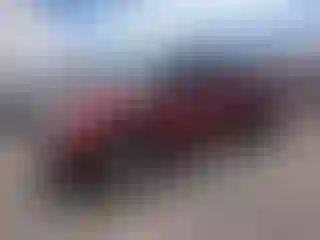 Vehicle Image- 2008 Ford Ranger
