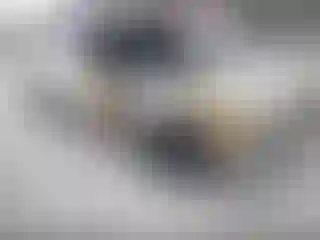 Vehicle Image- 2004 Ford Ranger