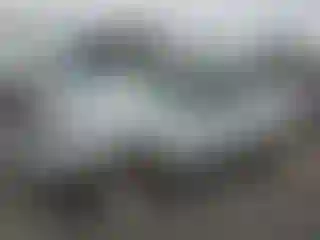 Vehicle Image- 2005 Ford Ranger