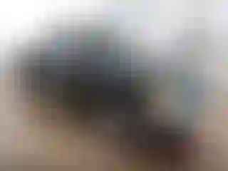 Vehicle Image- 2002 Ford Ranger