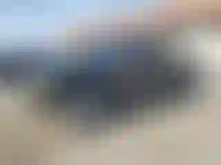 Vehicle Image- 2008 Ford Ranger