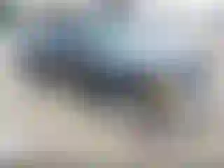Vehicle Image- 2004 Ford Ranger