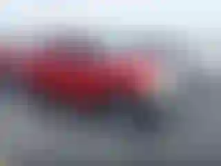 Vehicle Image- 1998 Ford F-150