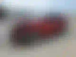 Vehicle Image- 2014 Chevrolet Malibu
